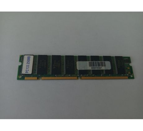 Pamäť RAM 256 MB