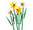 LEGO® Botanicals 40747 Narcisy